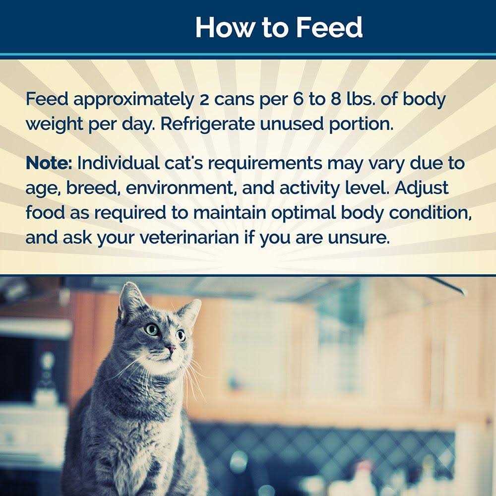 Adult Wet Cat Food X195243