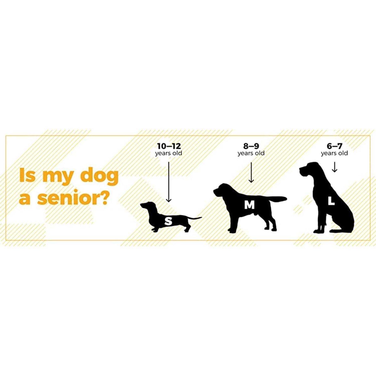 Dog Supplement 5.29 oz D541
