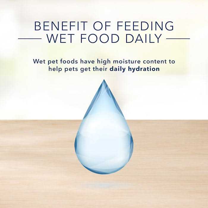 Adult Wet Cat Food X195243