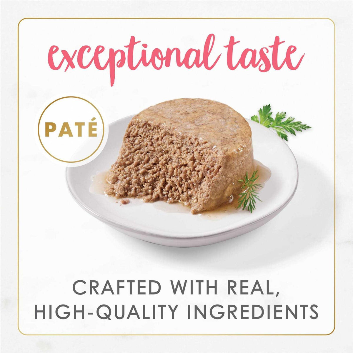 Grain Free Pate Wet Kitten Food P5884