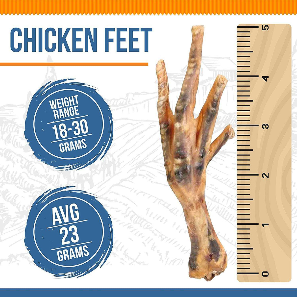 Chicken Feet Dog E94276