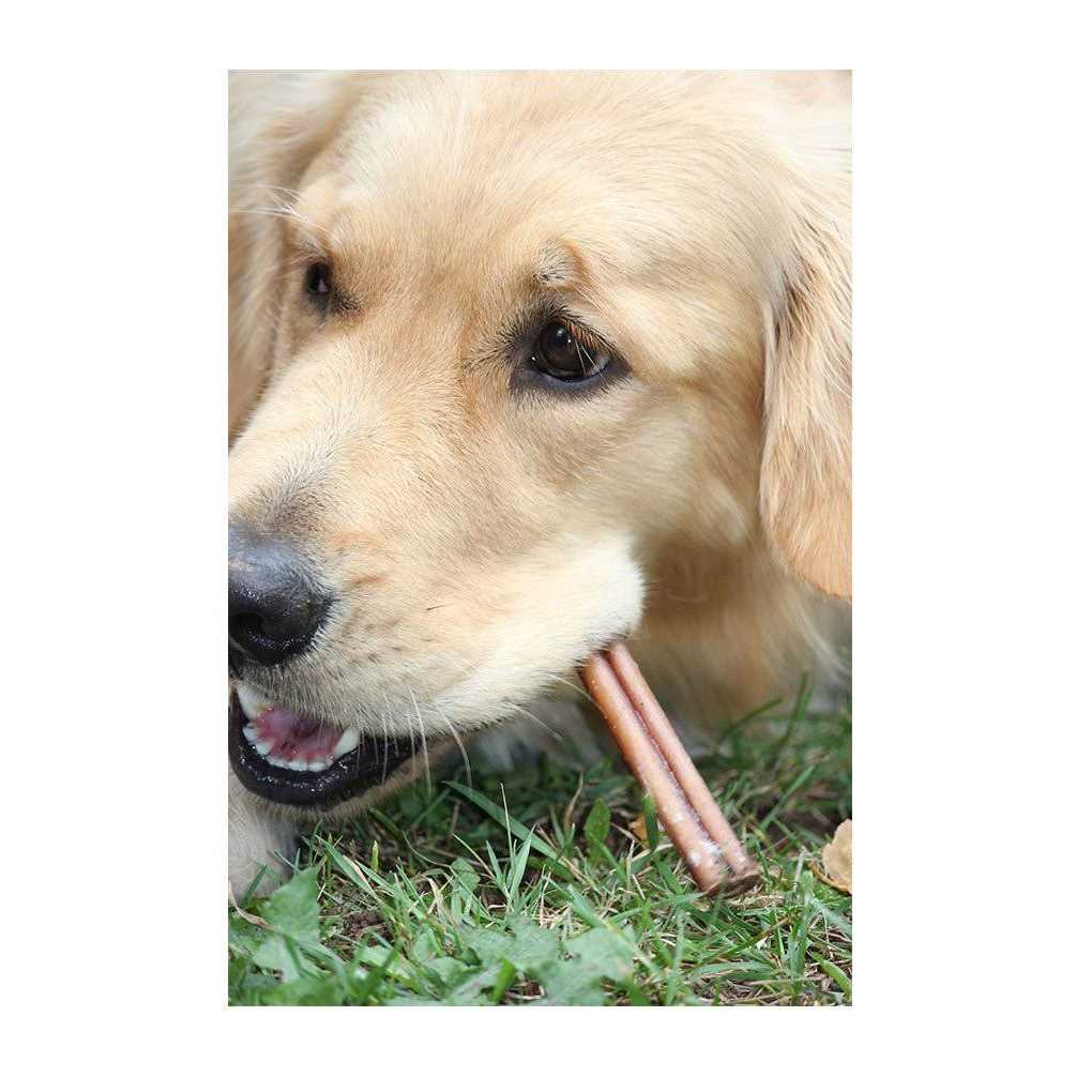 Bully Sticks For Medium Dogs F2236