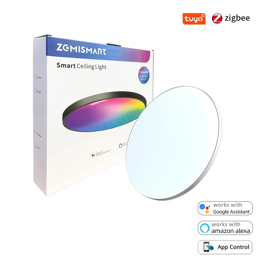 24W Smart LED Ceiling Light G13999