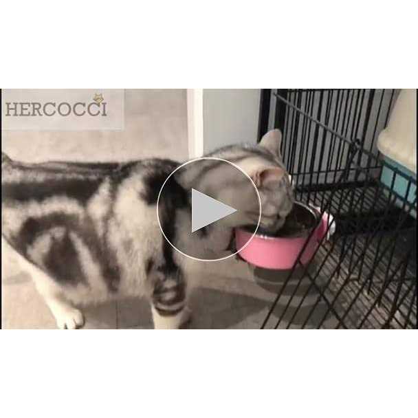 Removable Stainless Steel Dog Crate Bowl S2333