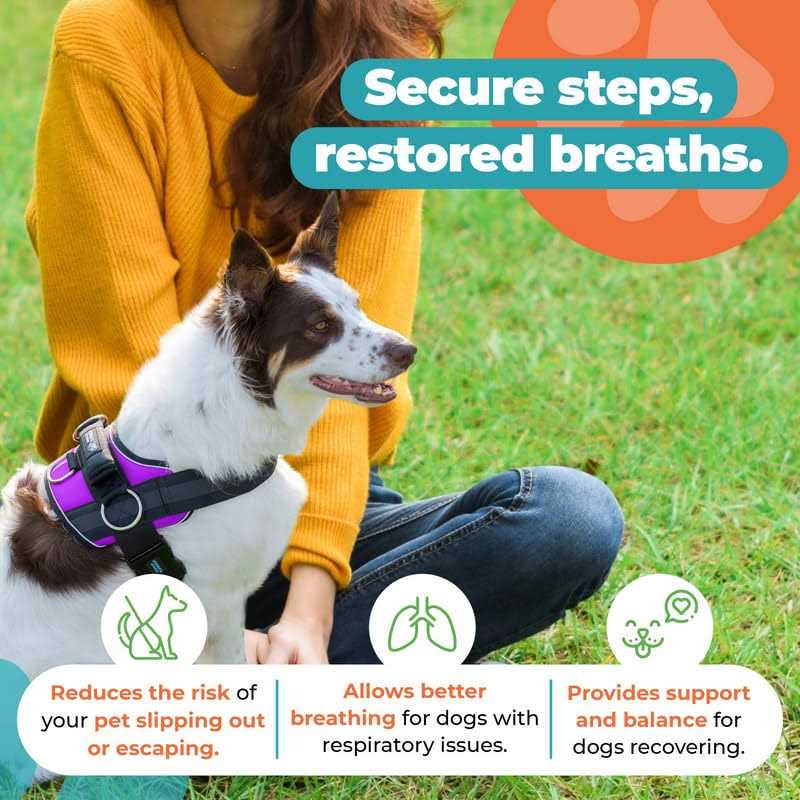No Pull Easy On-Off Dog Harness V97994
