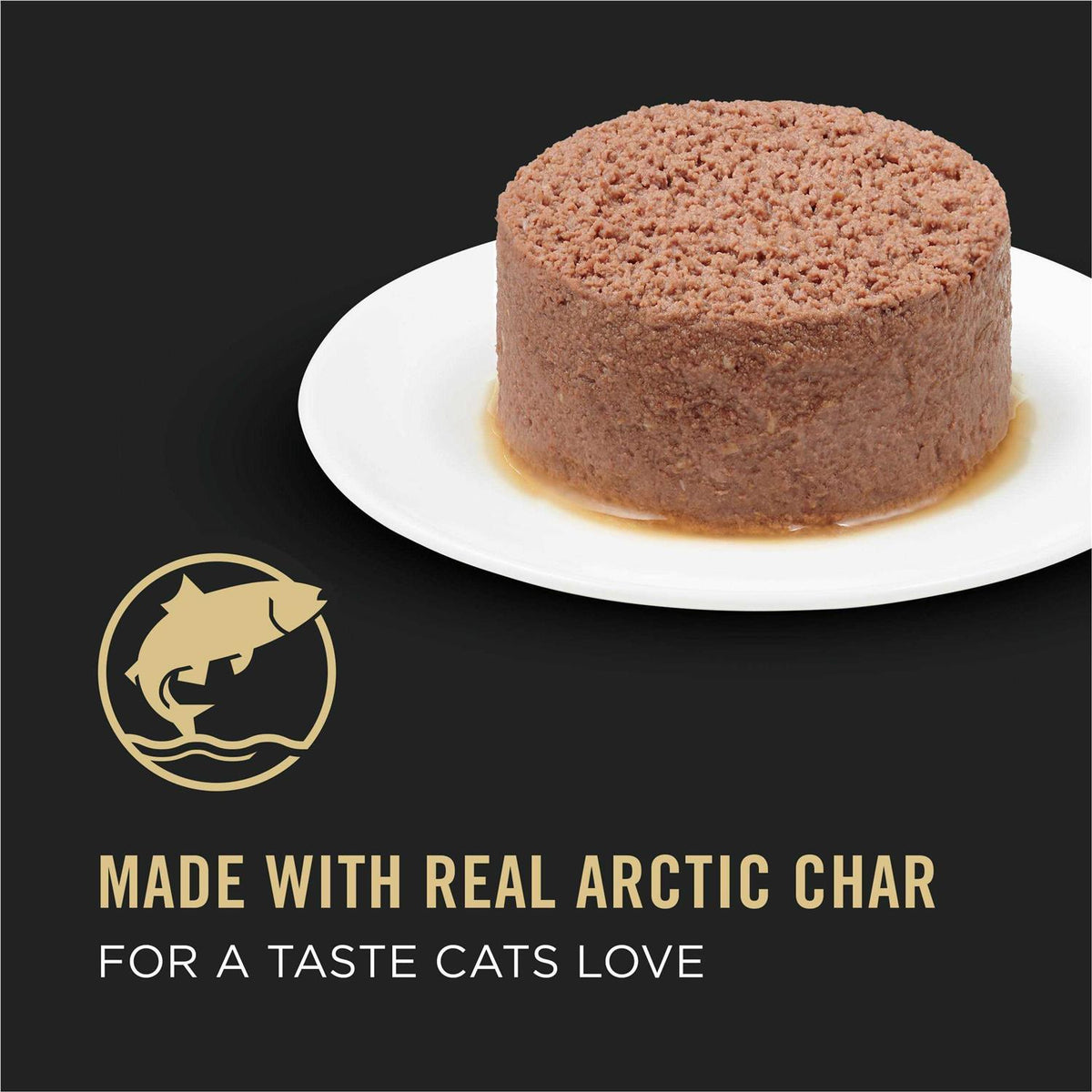 Sensitive Skin & Stomach Cat Food W37602