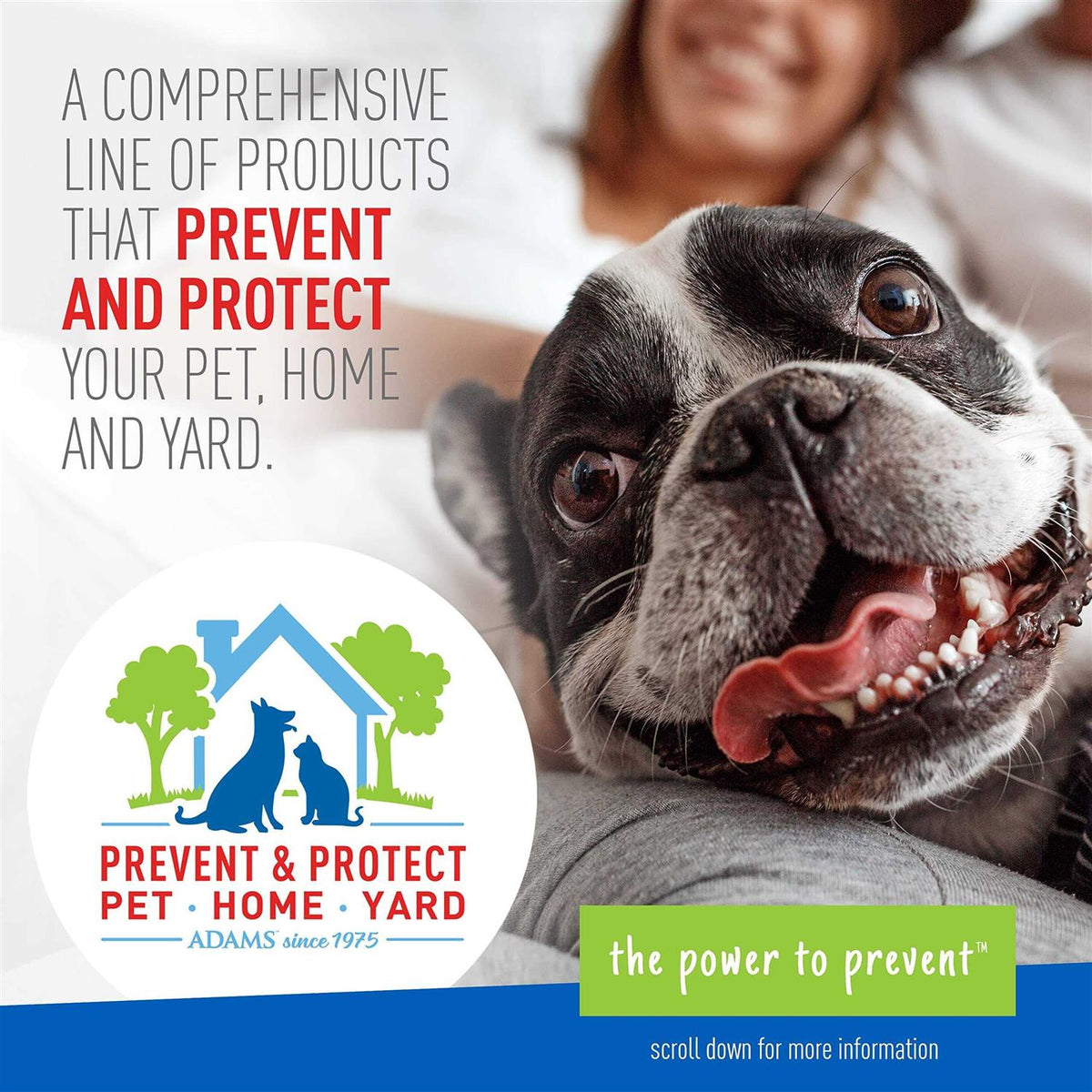 Flea Tick Shampoo E31363