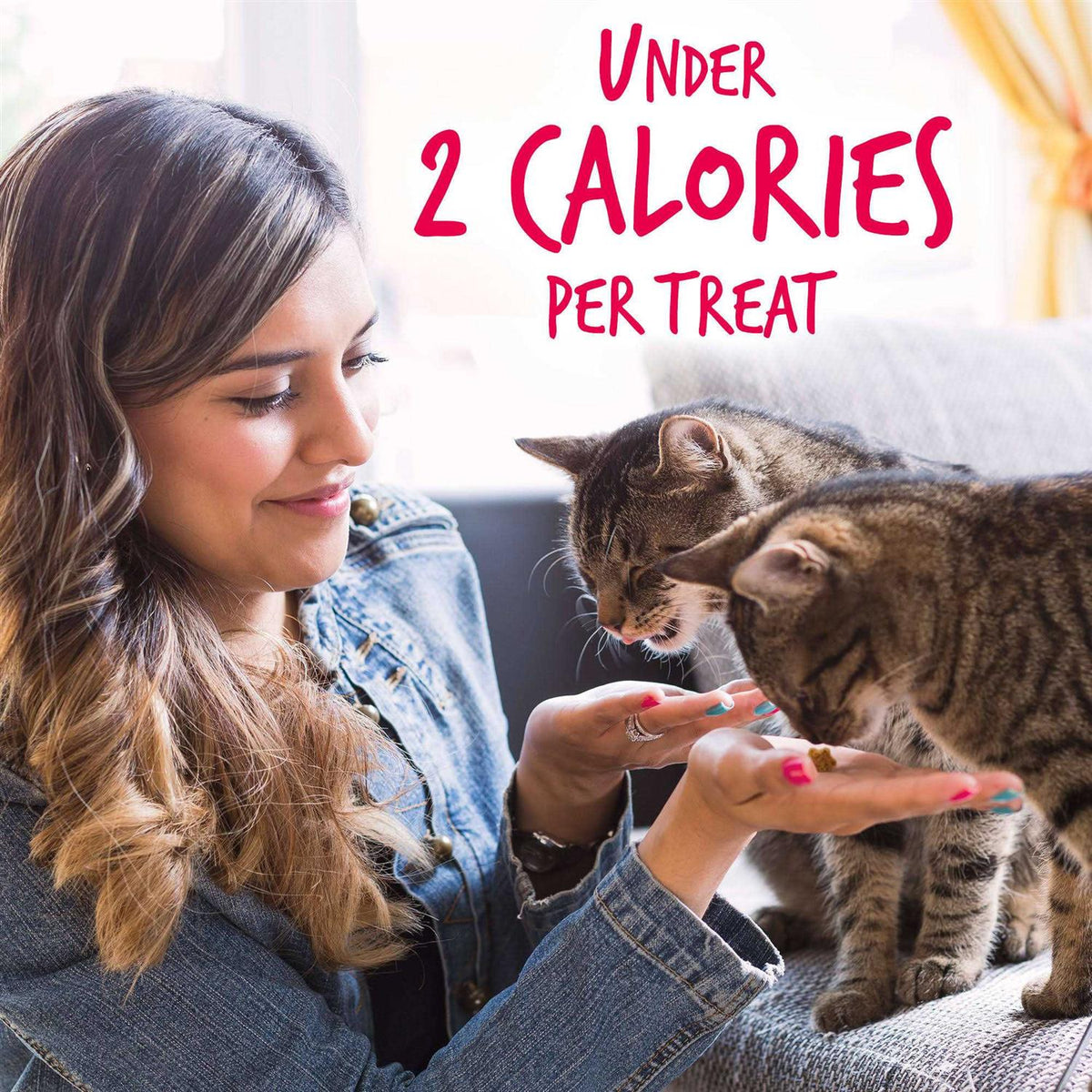 Salmon with Cranberry Crunchy Cat Treats D4199