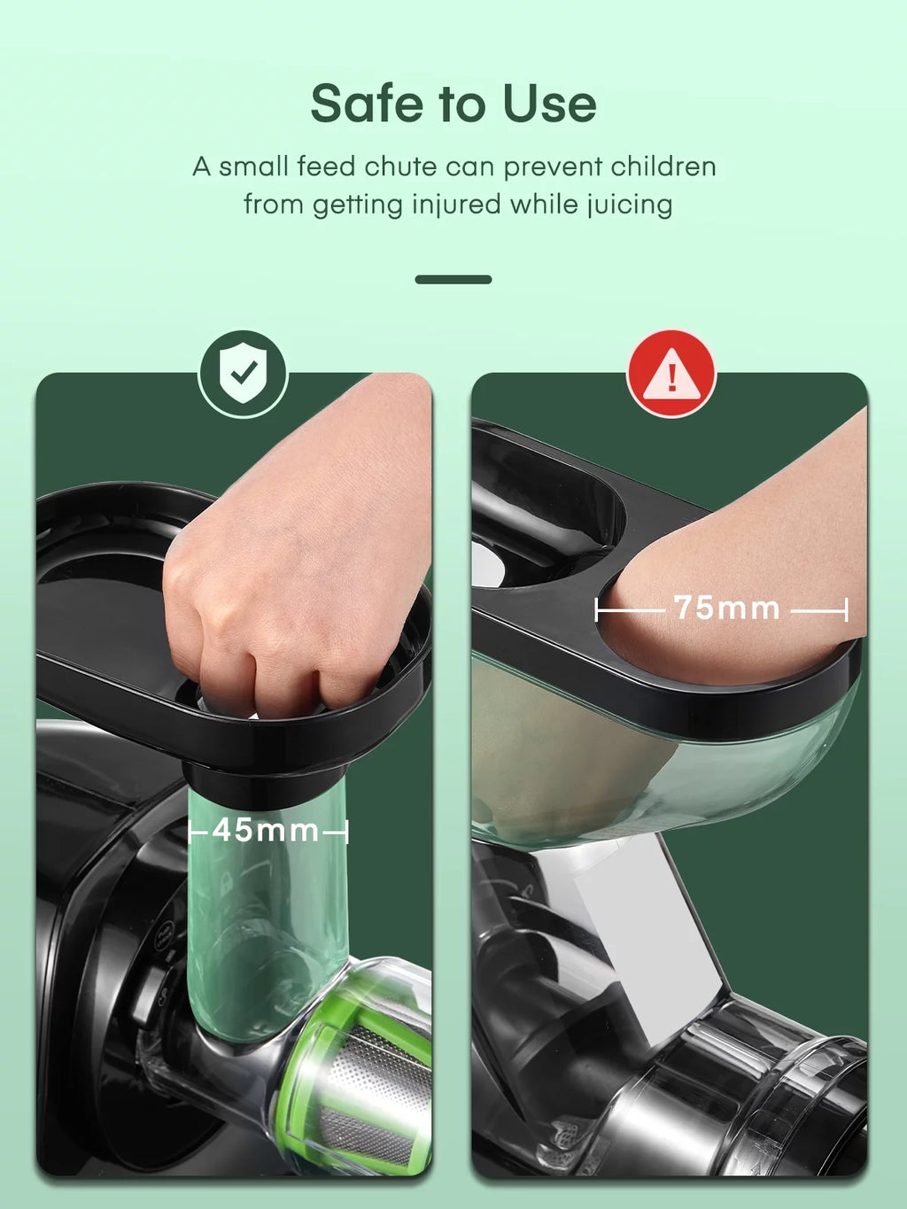 Slow Masticating Juicer Extractor L462584