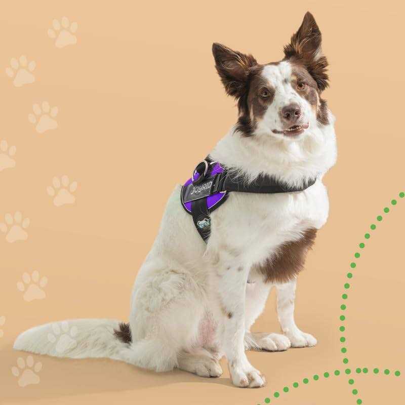 No Pull Easy On-Off Dog Harness V97994