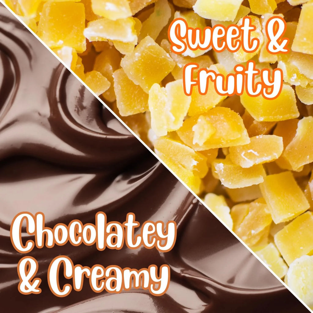 Dark Chocolate Covered Dried Mango 2 Lbs Bulk Bag V713602