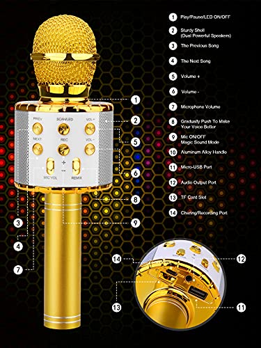 4 in 1 Wireless Microphone with LED Lights H346012