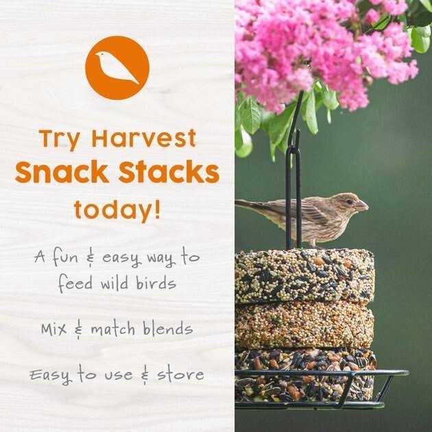 Mealworm Snack Stack Wild Bird Food D442763