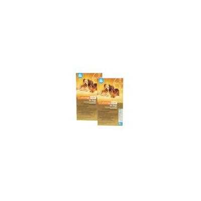 Topical Solution for Dogs 9.1-20 lbs 6 treatments F8034