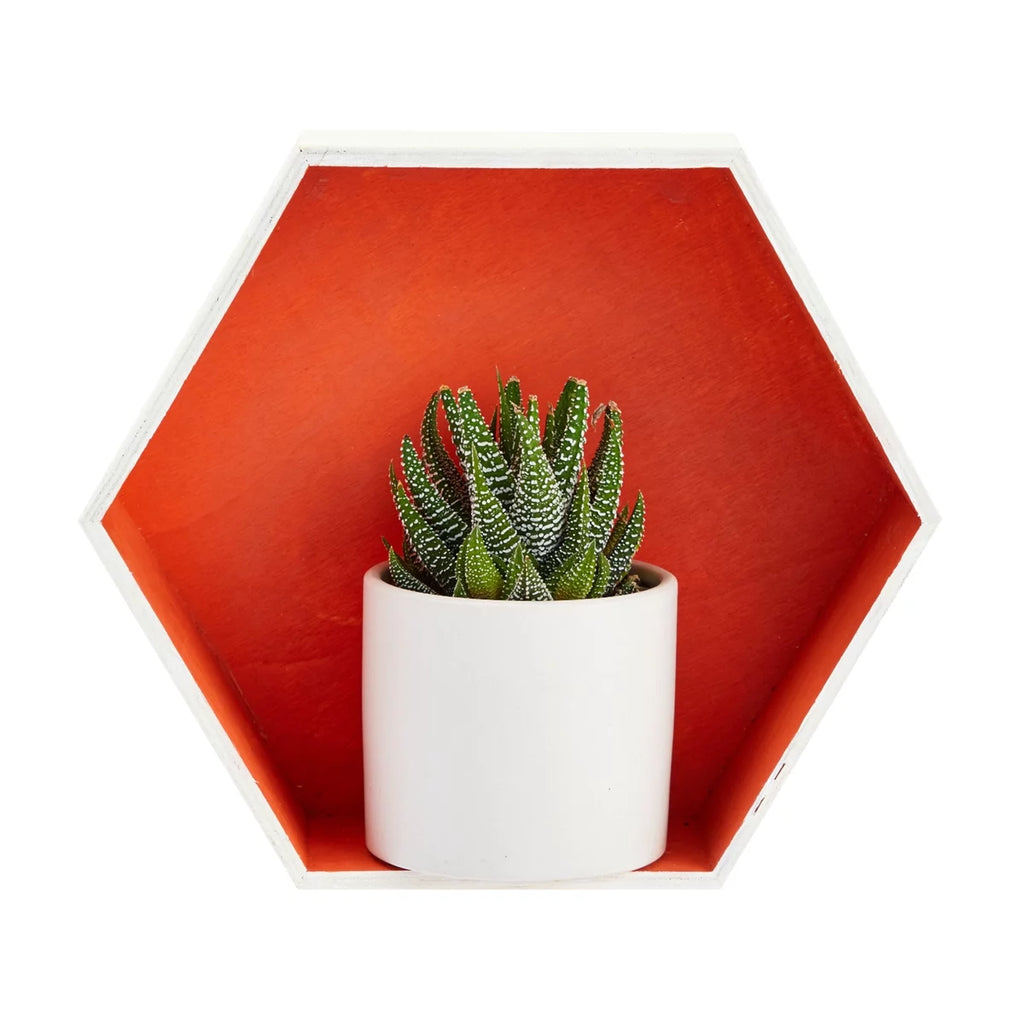 Set of 9 Unfinished Wooden Hexagon Shelves R3993