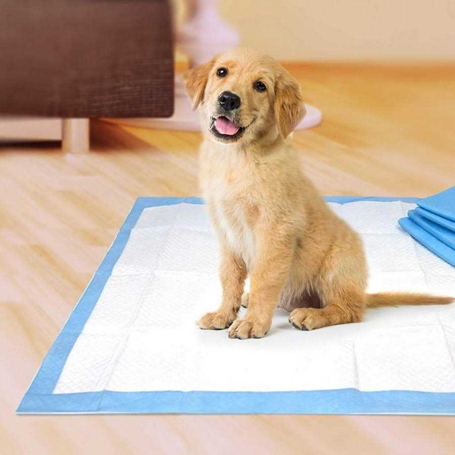 Wee-Wee Pads R262973