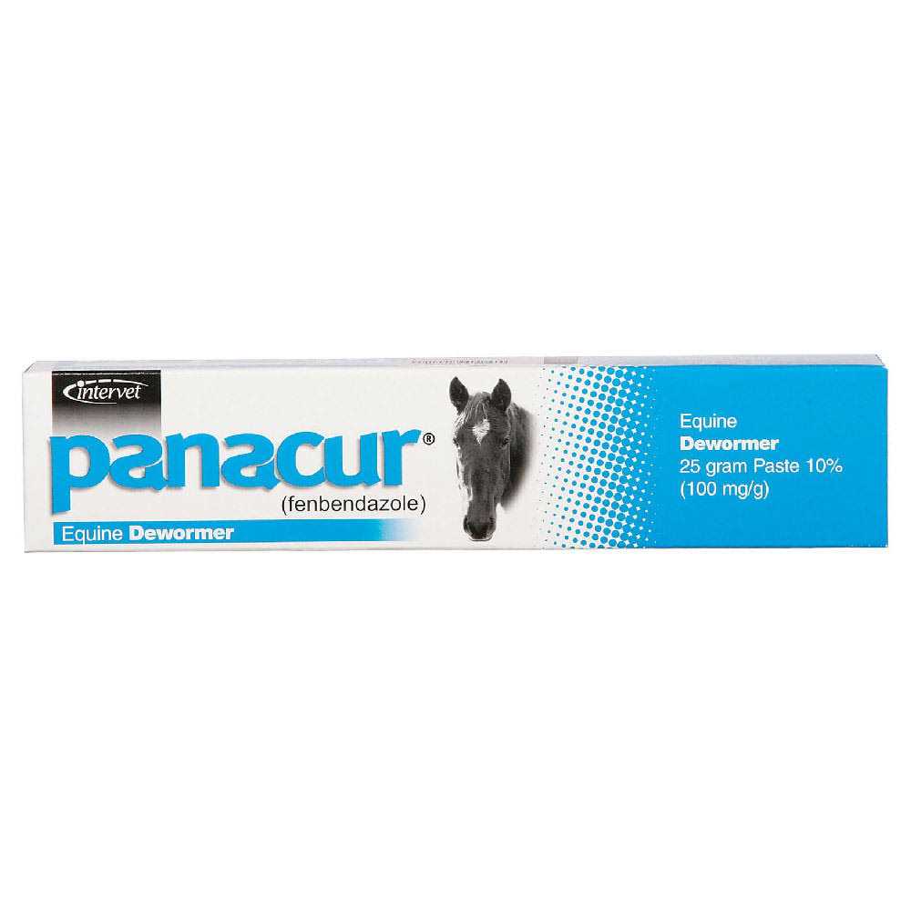 Horse Dewormer Paste N38600