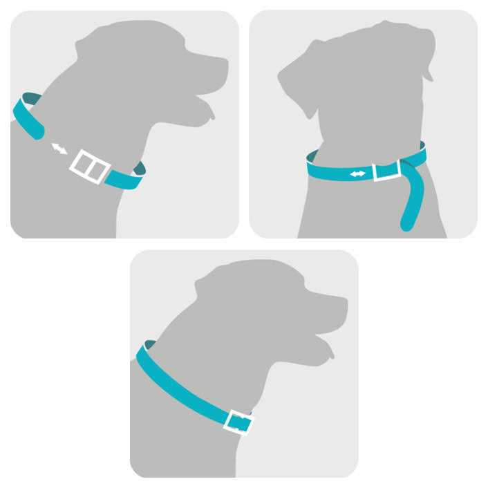 Flea & Tick Collar for Dogs J9040