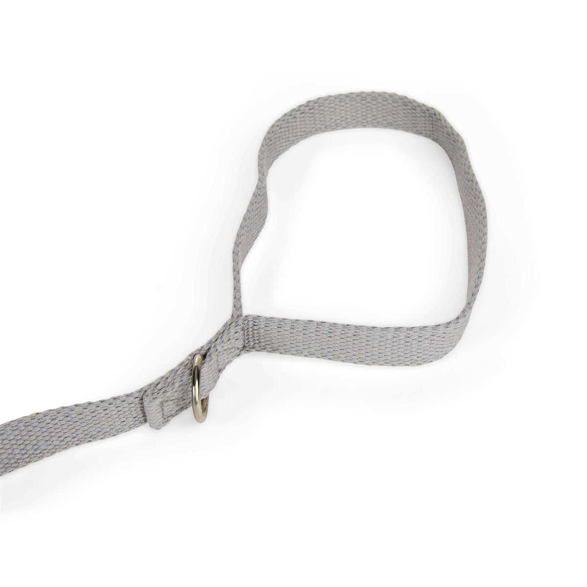 Adjustable Recall Training Dog Lead D913