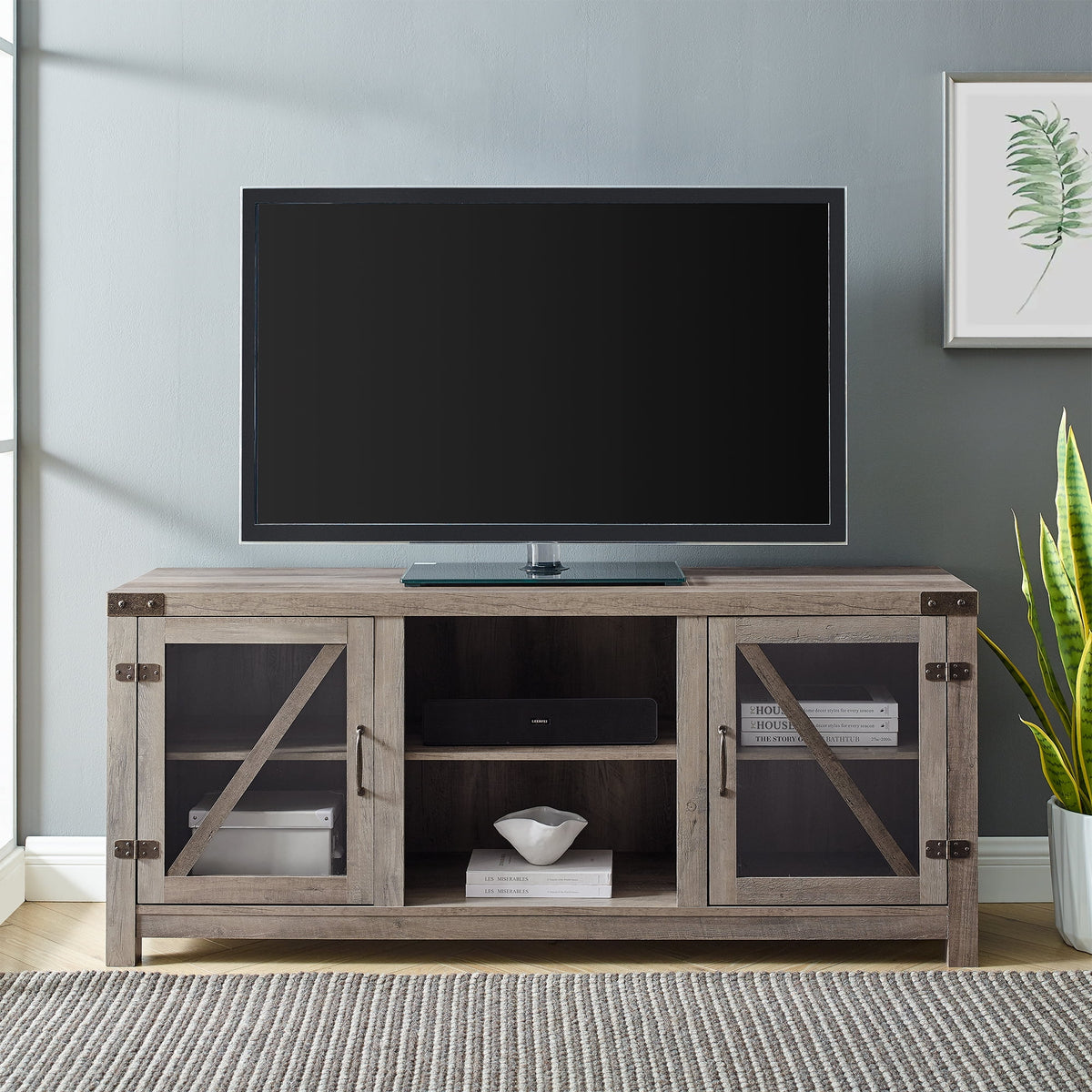 Glass Door TV Stand S596