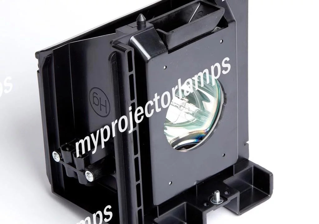 Projector Lamp with Module F161