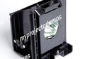 Projector Lamp with Module F161