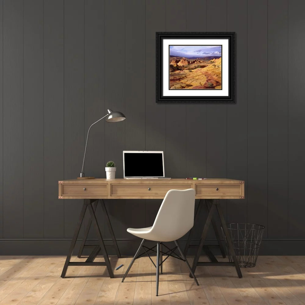 Black Ornate Wood Framed Art Print O393