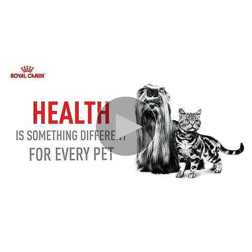 12+ Small Dry Dog Food U123652