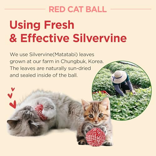 Red Catnip Silvervine Cat Toy V2235