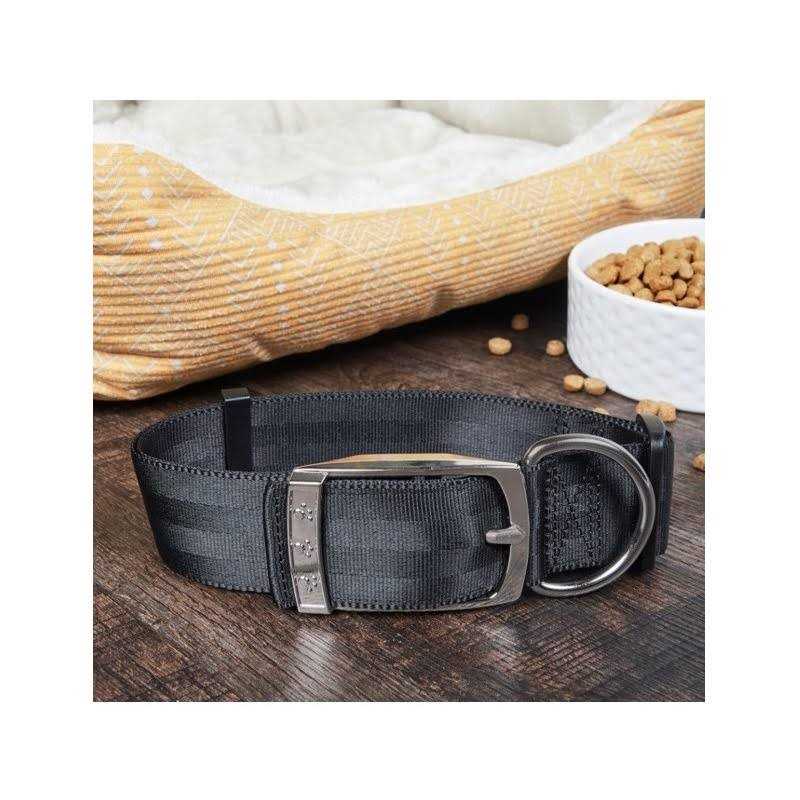 Solid Dog Collar with Metal Buckle V930