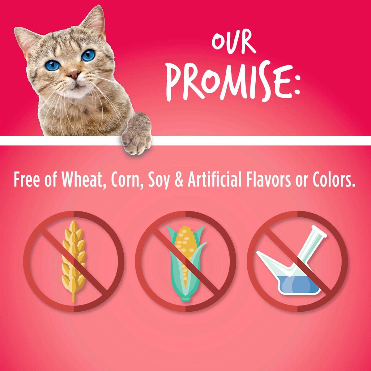Salmon with Cranberry Crunchy Cat Treats D4199