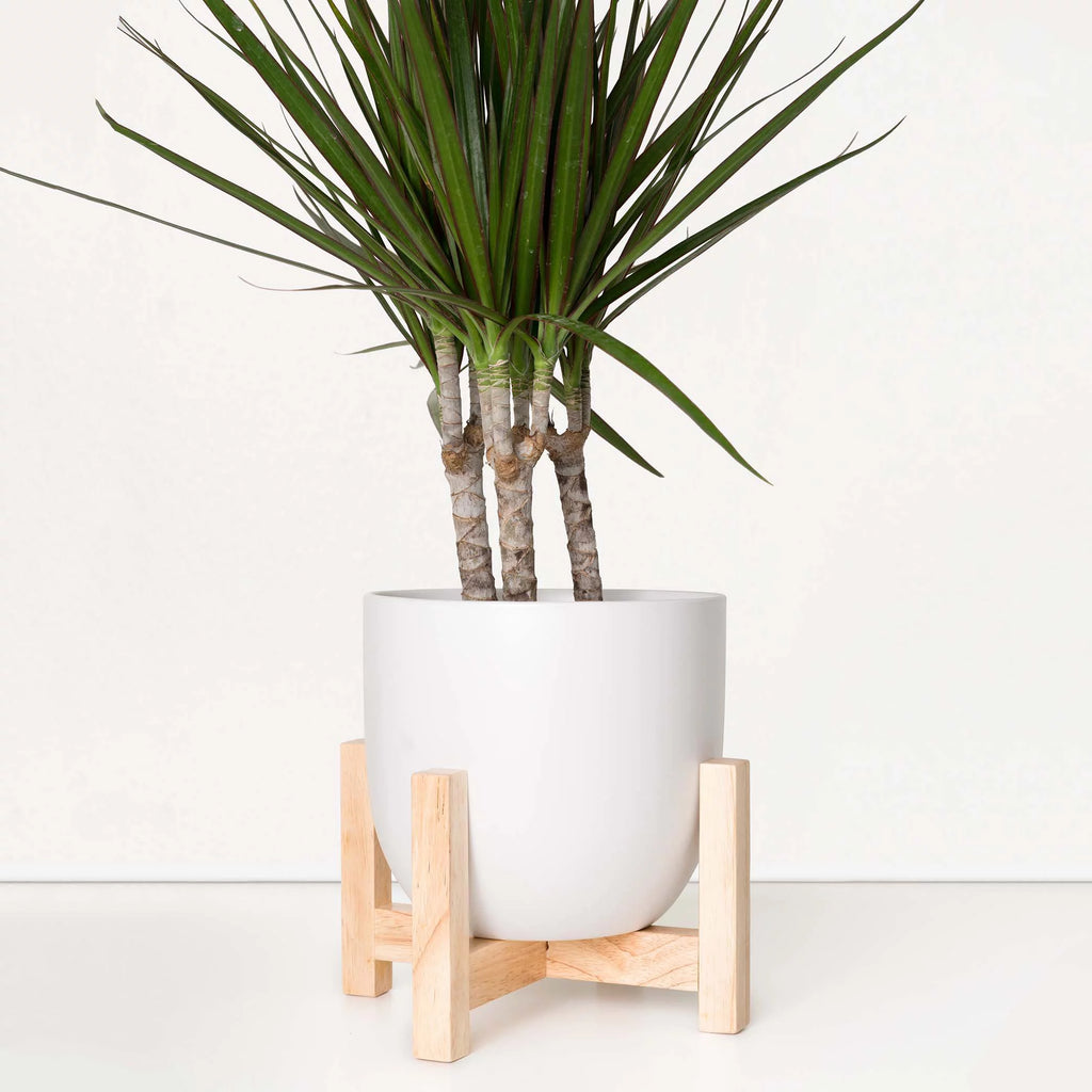 White Ceramic Egg Shaped Indoor Planter with Wood Stand T871750