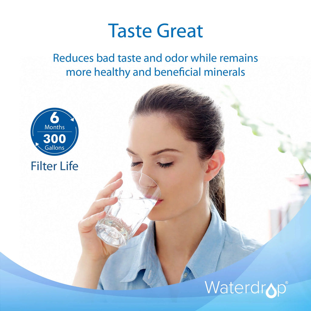 Refrigerator Water Filter, 2 Filters F53477