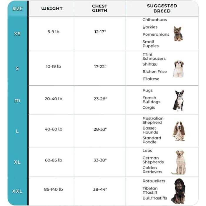 No Pull Easy On-Off Dog Harness V97994