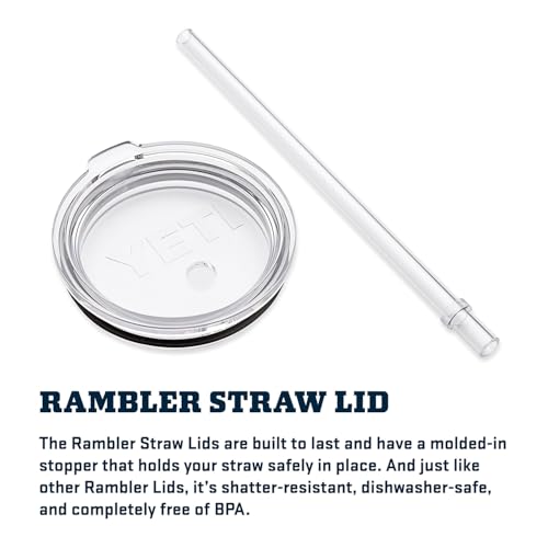 Vacuum Insulated Stainless Steel Tumbler with Handle and Straw Lid R731