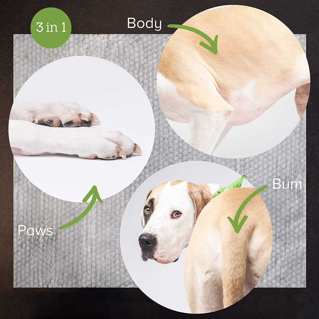 Plant Based Unscented Dog Wipes F313570