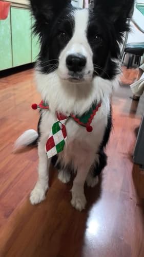 Adjustable 14-17 Inch Pet Scarf Bandana Bow Tie R75434