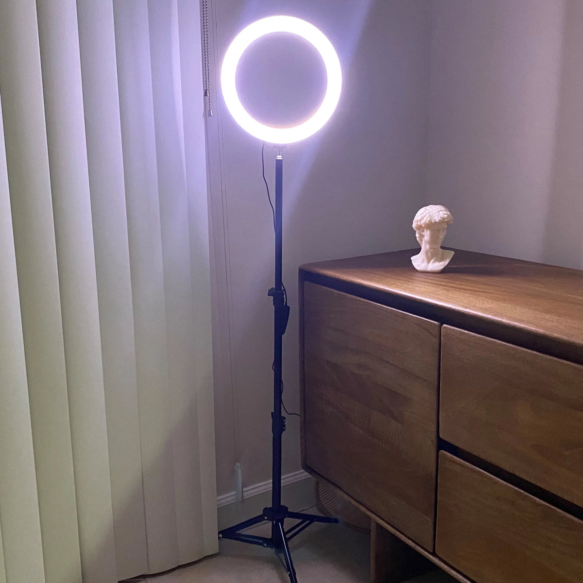LED Ring Lamp and Vlogging Light Kit with Tripod Stand G482133