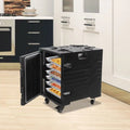 Insulated Food Pan Carrier with Handle C50301