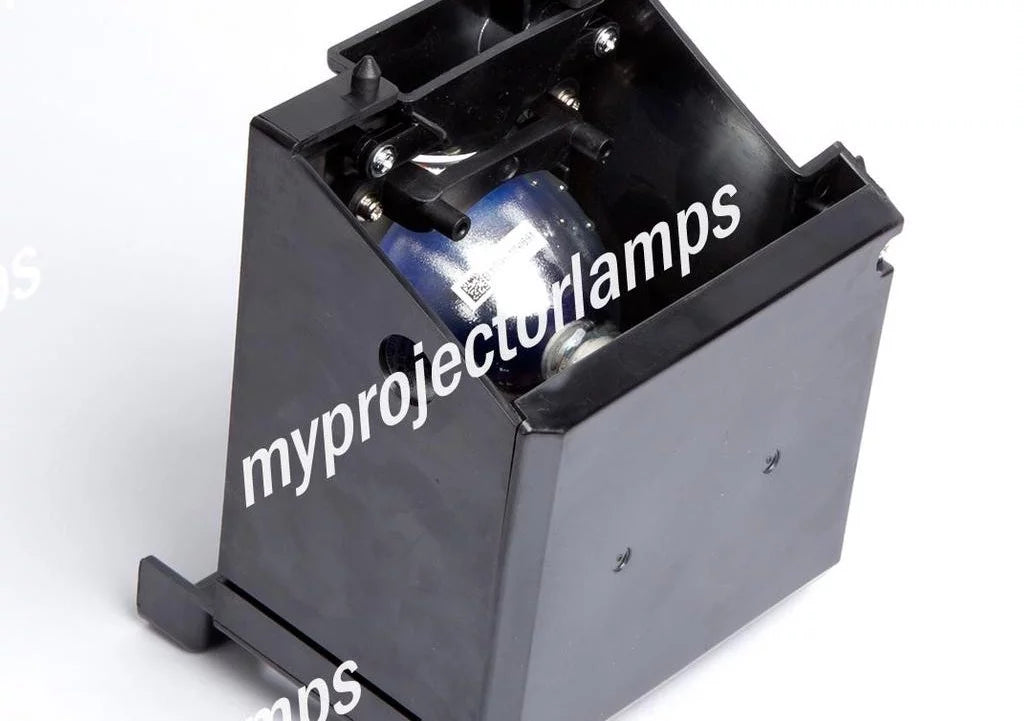 Projector Lamp with Module F161