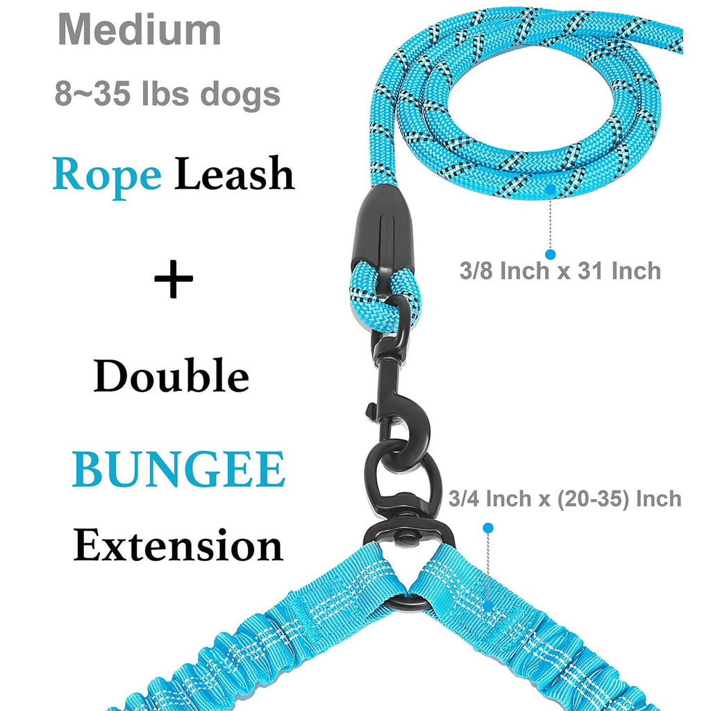 Double Dog Leash 360 Swivel No Tangle F576