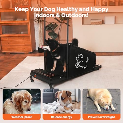 Black Dog Treadmill with Remote Control D8023