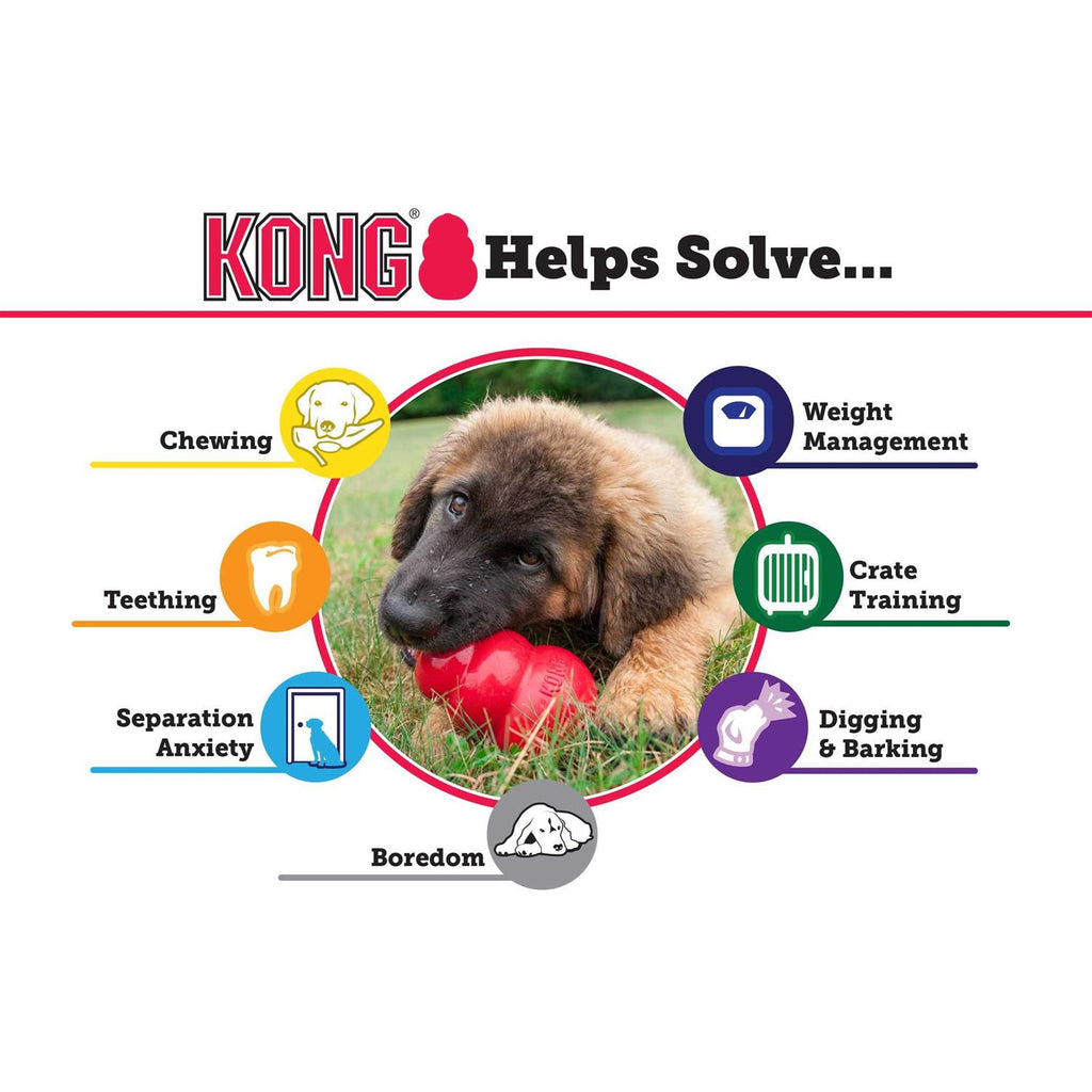 KONG Dog Toy P36547