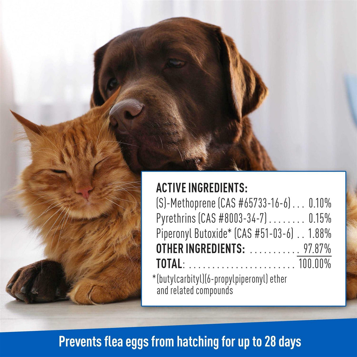 Flea Tick Shampoo E31363