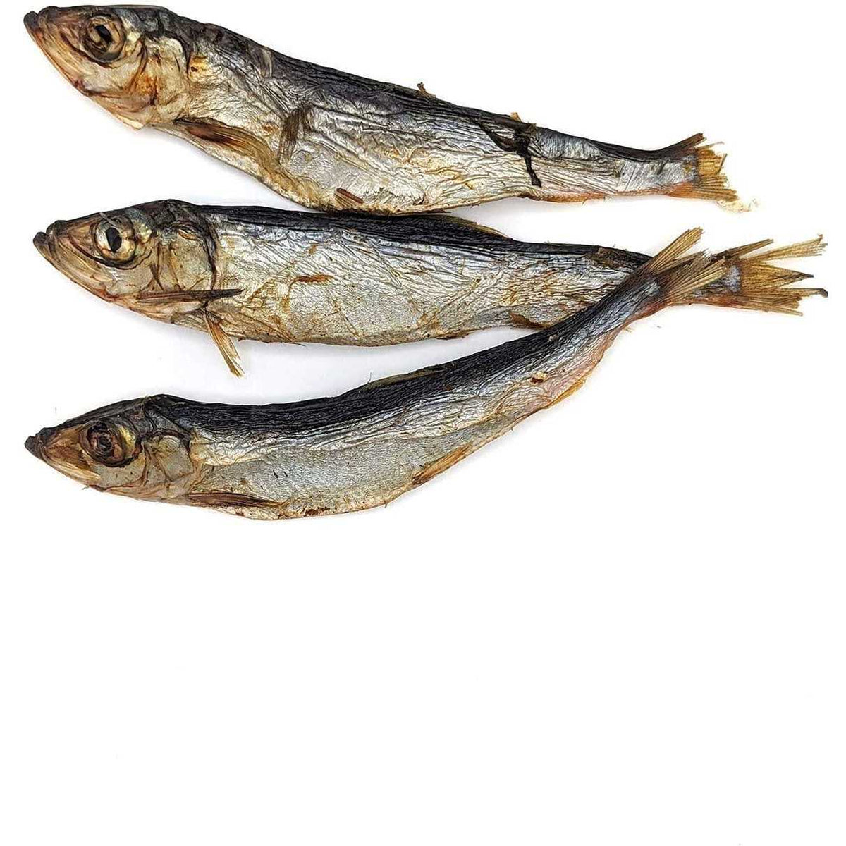 Dog Herring Fish Whole D50335