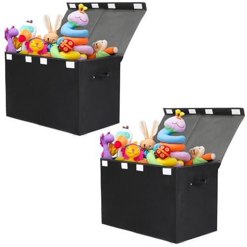 Large Flip-Top Lid Collapsible Toy Box Storage F16644