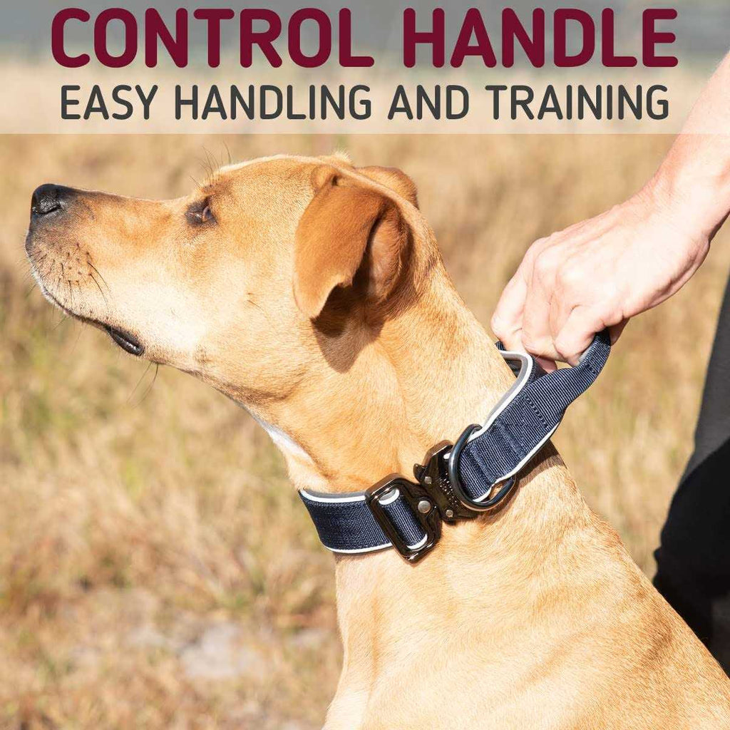 Heavy-Duty Adjustable Tactical Dog Collar with Handle P2481