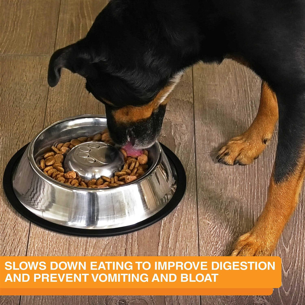 Stainless Steel Slow Feed Bowl U27314