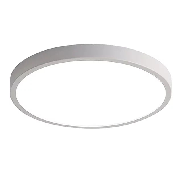 24W Smart LED Ceiling Light G13999