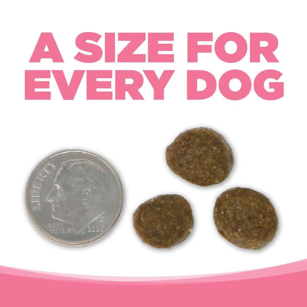 Grain Free Salmon Dog Food A977